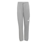 adidas Unisex Kinder Essentials BIG Logo Pants, Medium Grey Heather/White, 11-12 Years