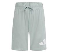adidas Unisex Kinder Essentials BIG Logo Shorts, Wonder Sage/White, 11-12 Years
