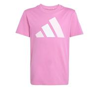 adidas Unisex Kinder Essentials BIG Logo T-Shirt, Pink Fusion/Clear Pink/White, 15-16 Years