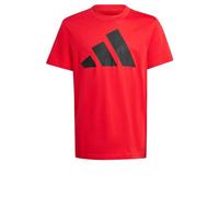 adidas Unisex Kinder Essentials BIG Logo T-Shirt, Pure Ruby/Black, 9-10 Years