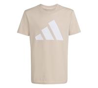 adidas Unisex Kinder ESSENTIALS BIG LOGO T-SHIRT SET, Crystal Linen/white, 11-12 Years