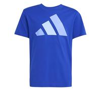 adidas Unisex Kinder Essentials BIG Logo T-Shirt, Team Royal Blue/Blue Fusion/Glow Blue, 15-16 Years
