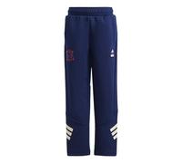 adidas Unisex Kinder Marvel Spider-Man Pants, Dark Blue/Off White, 3-4 Years