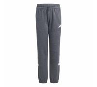 adidas Unisex Kinder Seasonal Essentials TIBERIO 3 Stripes Fleece Pant, Dark Grey Heather/White/Wonder Sage, 11-12 Years