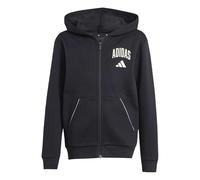 adidas Unisex Kinder Seasonals Collegiate Typography Hoody, Black/Off White, 9-10 Years
