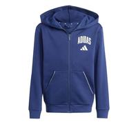 adidas Unisex Kinder Seasonals Collegiate Typography Hoody, Dark Blue/Off White, 15-16 Years