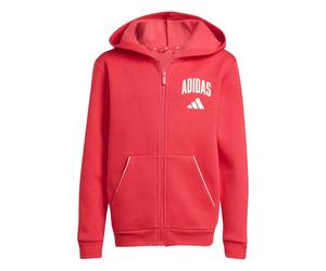 adidas Unisex Kinder Seasonals Collegiate Typography Hoody, Pure Ruby/Off White, 11-12 Years