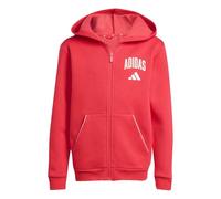 adidas Unisex Kinder Seasonals Collegiate Typography Hoody, Pure Ruby/Off White, 13-14 Years