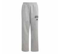 adidas Unisex Kinder Seasonals Collegiate Typography Pant, Medium Grey Heather/Black, 7-8 Years