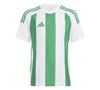 adidas Unisex Kinder Striped 24 Jersey Kids, White/Team Green, 7-8 Years