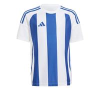 adidas Unisex Kinder Striped 24 Jersey Kids, White/Team Royal Blue, 5-6 Years