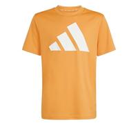 adidas Unisex Kinder Train Essentials BIG Logo T-Shirt, Pure Orange/White, 9-10 Years