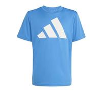 adidas Unisex Kinder Train Essentials BIG Logo T-Shirt, Ray Blue/White, 11-12 Years
