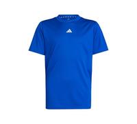 Adidas Train Essentials Logo T-Shirt Juniors Bleu/Blanc 11-12 ans Male