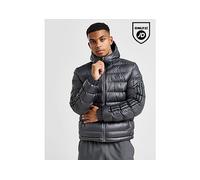 adidas Veste 3-Stripes SDP Badge of Sport - Gris XS