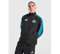 adidas Veste Anthem Domicile Newcastle United FC - Noir M