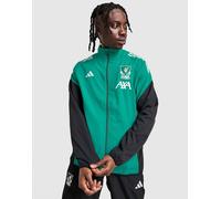 adidas Veste de présentation European Liverpool FC - Vert XS