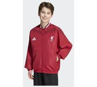 adidas Veste de survêtement Liverpool FC Stadium Enfants 176 cm