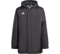 Adidas Veste Ent22 Stadium