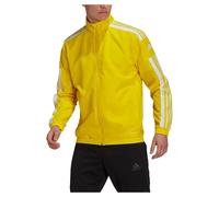 Adidas Veste Squadra 21 Presentation