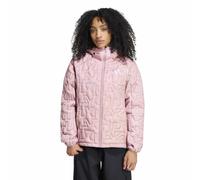 Adidas Veste Terrex Xperior Light Fleece
