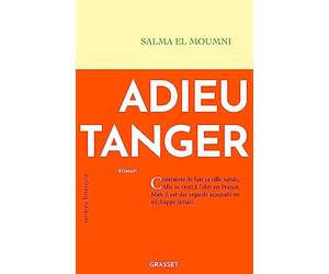 Adieu Tanger: Premier roman