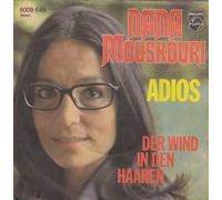 Adios / Der Wind in den Haaren
