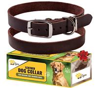 ADITYNA - Collier pour chien en cuir pour chiens de taille moyenne - Style classique, doux et résistant, en cuir pleine fleur, fait à la main (M - cou : 38,1 à 50,8 cm, marron)