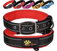 ADITYNA Collier rembourré en néoprène Doux Ultra Confortable pour Petits Chiens (Noir, Taille S : Convient pour Tour de Cou de 30,5 à 40,6 cm)