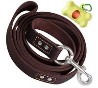 ADITYNA Heavy Duty Leather Dog Leash 6 ft x 1" - Strong, Soft Training Lead for Large & Extra Large Breeds (XL - 6 ft x 1 inch, Brown)