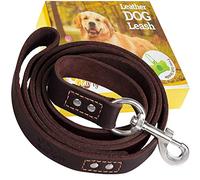 ADITYNA Leather Dog Leash 6 ft x 3/4 inch - Soft, Strong, Heavy Duty for Large & Medium Breeds - Dog Lead for Walking, Training, Hiking and Running (Brown)