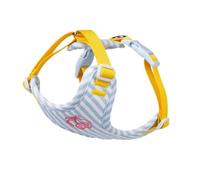 Adjustable Harnais-Gilet for Chien avec Laisse - Anti-Fugue et Mignon for Chiens de Petite et Moyenne Taille(Sky Blue,XS)