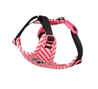 Adjustable Harnais-Gilet for Chien avec Laisse - Anti-Fugue et Mignon for Chiens de Petite et Moyenne Taille(Raspberry Red,XS)