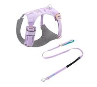 Adjustable Harnais-Laisse en Nylon for Chien - Réglable for Chiens de Petite, Moyenne et Grande Taille (Teddy, Corgi, etc.)(Wild Chrysanthemum Purple,S)