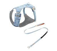 Adjustable Harnais-Laisse en Nylon for Chien - Réglable for Chiens de Petite, Moyenne et Grande Taille (Teddy, Corgi, etc.)(Fog Mountain Blue,M)