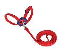 Adjustable Parrot Leash Harness | Nylon Protective - Bite Bird Harness for Outdoor Training | Soft & Secure Chest Strap for Small/Medium Birds | 47.2in Control Rope with Cushion (Red)