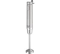Mixeur Plongeant Adler Ad 4617 (Gris)