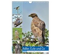 Adler, Eule und Co - Gefiederte Jäger im Portrait (Wandkalender 2026 DIN A4 hoch), CALVENDO Monatskalender: Greifvogel Aufnahmen der besonderen Art