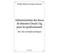 Administration des bases de données Oracle 11g pour les professionnels Avec des exemples pratiques - Souhail Smaoui - Edilivre-Aparis - broché - Manuel