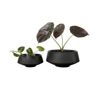 Admir par la nature Ensemble de 6,5 """" et 9,5 """" Planteurs de fleurs en cramique Plante de plant de plante en cramique