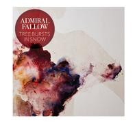 Admiral Fallow - Tree Bursts in Snow