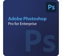 Adobe Photoshop - Pro for Enterprise 10 - 49 Utilisateur(s)