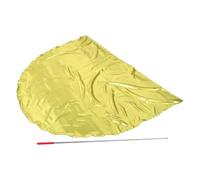 ADOCARN Drapeau de Danse en Demi-cercle, Drapeau de Garde D'honneur, Jaune, Acier Inoxydable et Tissu, Portable, pour Compétitions et Cérémonies D'ouverture Sportives