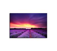 AdoDecor Impressions Sur Toile Poster Mural Champs de lavande Poster Affiche Decoration Murale Paysage de lueur violette au coucher du soleil Tableau Decoration Murale Chambre Salon(Encadrée)