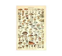 Adolphe Millot - Impression sur toile « Champignons pour tous III » - Décoration murale moderne pour chambre à coucher - Sans cadre - 50 x 75 cm