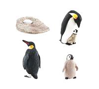 Adoorniequea Pingouin Life Cycle Model Animals Cognitive Playset for Teaching Materials Style A
