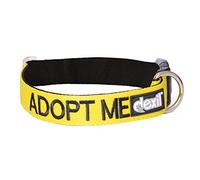 Adopter ME (I Need A New Home) Col Jaune Couleur Coded L-XL Buckle Dog. Faire Un Don à Votre Organisme de bienfaisance Local