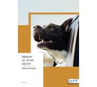 Adopter un chien adulte