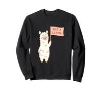 Adorable alpaga Tenant Un Drapeau « Not A Llama » Sweatshirt