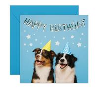 Adorable carte d'anniversaire - Deux chiens avec chapeaux - Salutations pour les amoureux des animaux, enfants, fils, fille, collègue, meilleure amie, voisine, nièce, neveu, amis, famille - Livré avec
